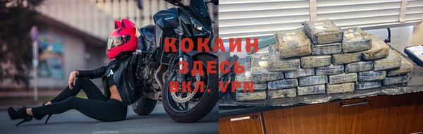 гашик Арсеньев