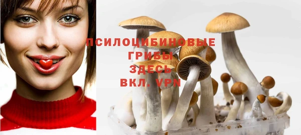 гашик Арсеньев
