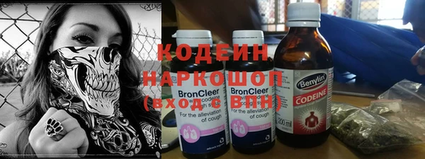 гашик Арсеньев