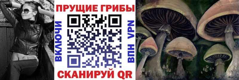 Псилоцибиновые грибы Psilocybine cubensis  где продают наркотики  ссылка на мегу как зайти  Афипский 